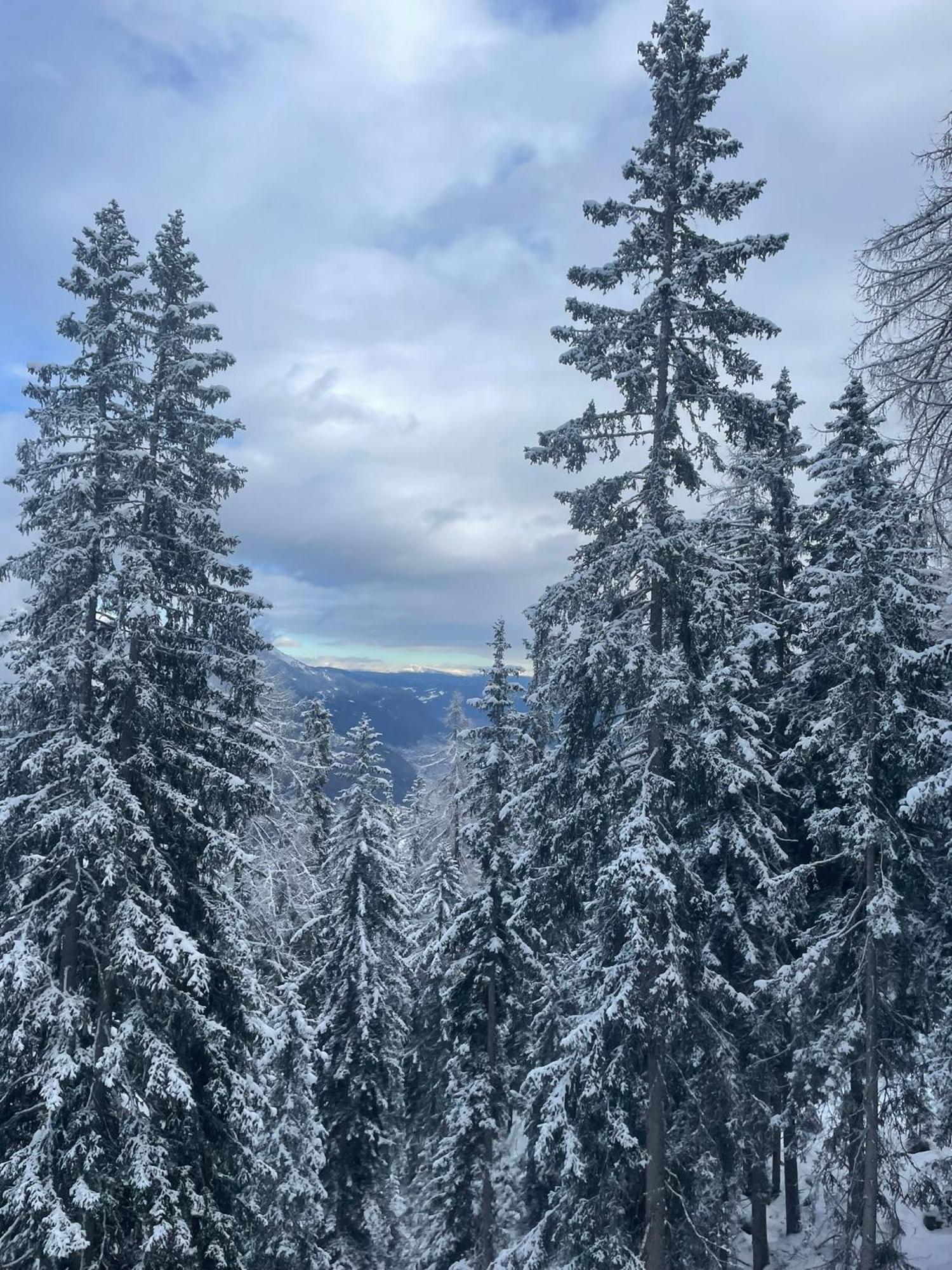 La Tana Dell'Orsetto Villa Marilleva Bagian luar foto